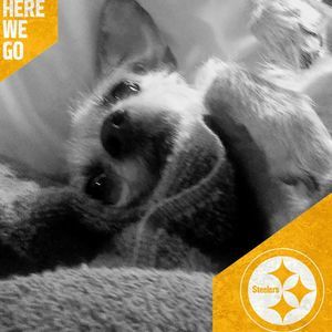 Meet your Posher, Lynn